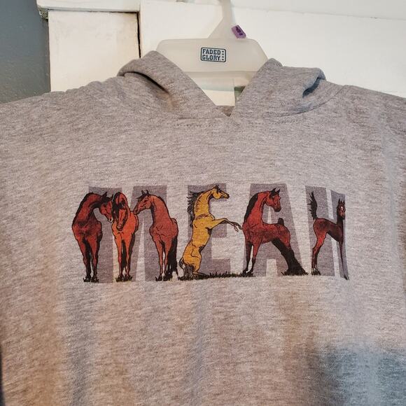 Youth size large horse Meah name Hoodie - Picture 3 of 4